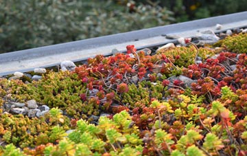 the cost of Burwell green roof installation