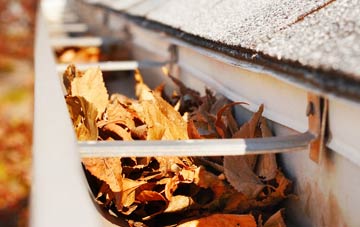 Burwell gutter cleaning companies