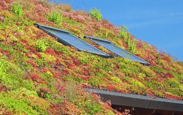 Burwell living roof systems