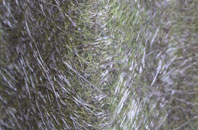 Burwell fibreglass roof work